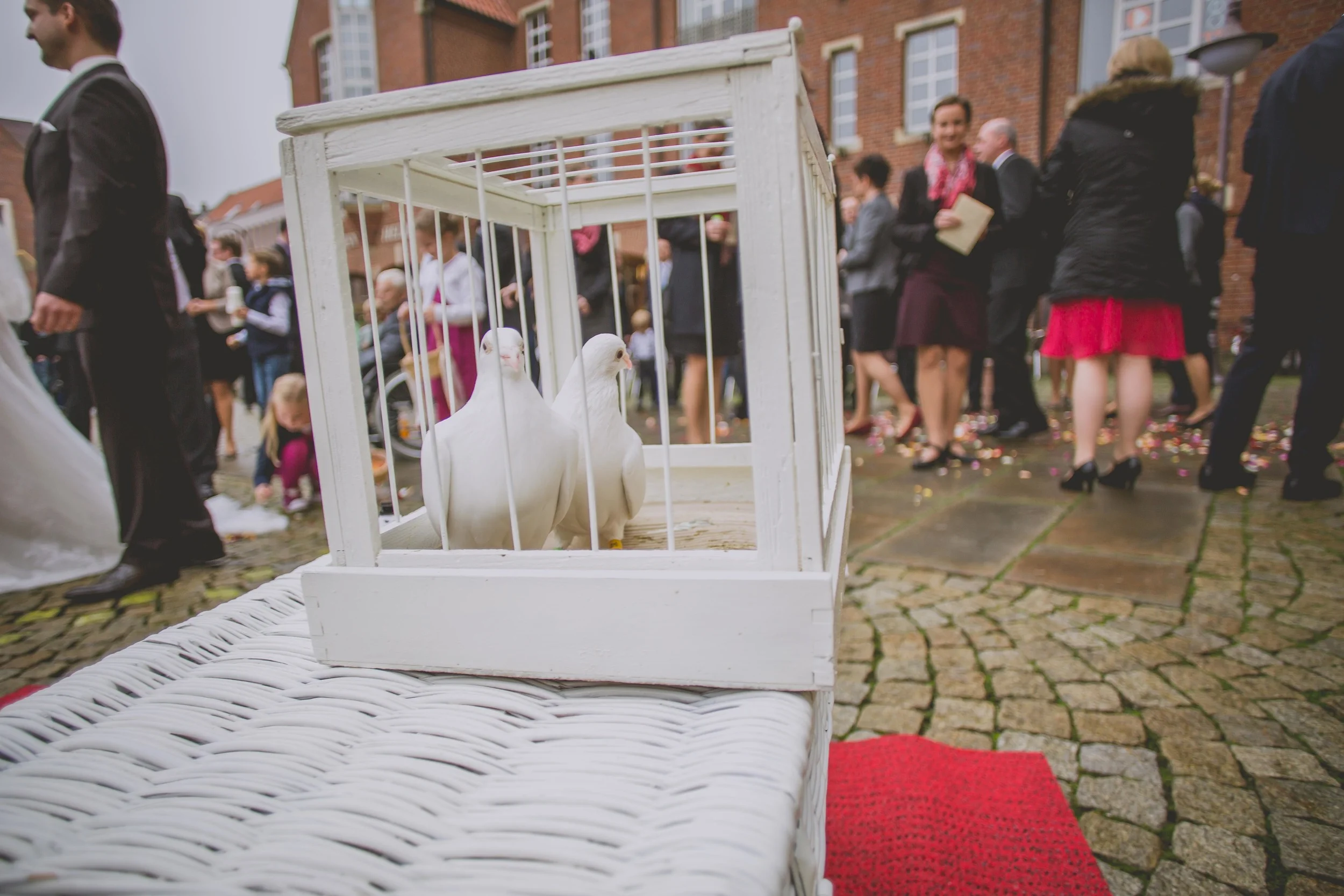 Buffalo-Wedding-Photography-by-Stefan-Ludwig10252014WEB-50.jpg