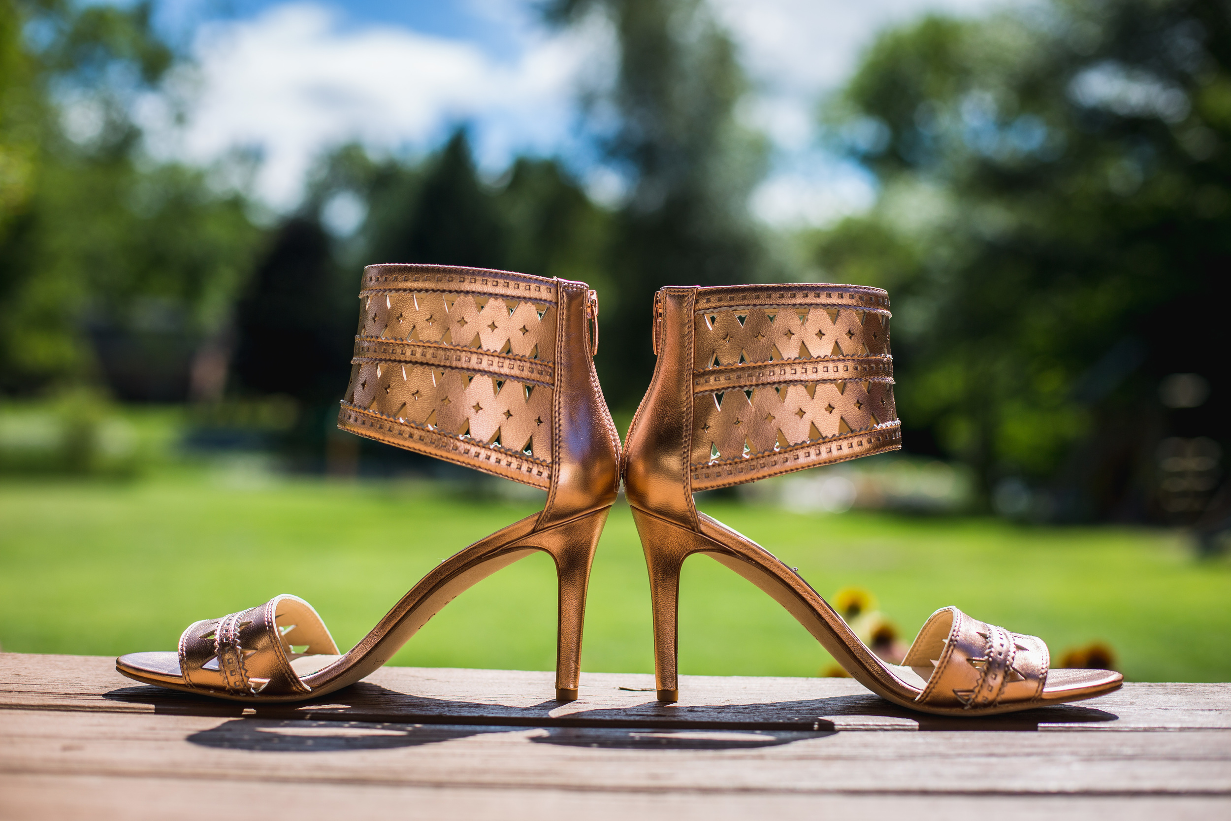 Kara-and-Matt-Buffalo-NY-Stefan-Ludwig-Photography-Depew-Joesephy-Country-Manor-59.jpg