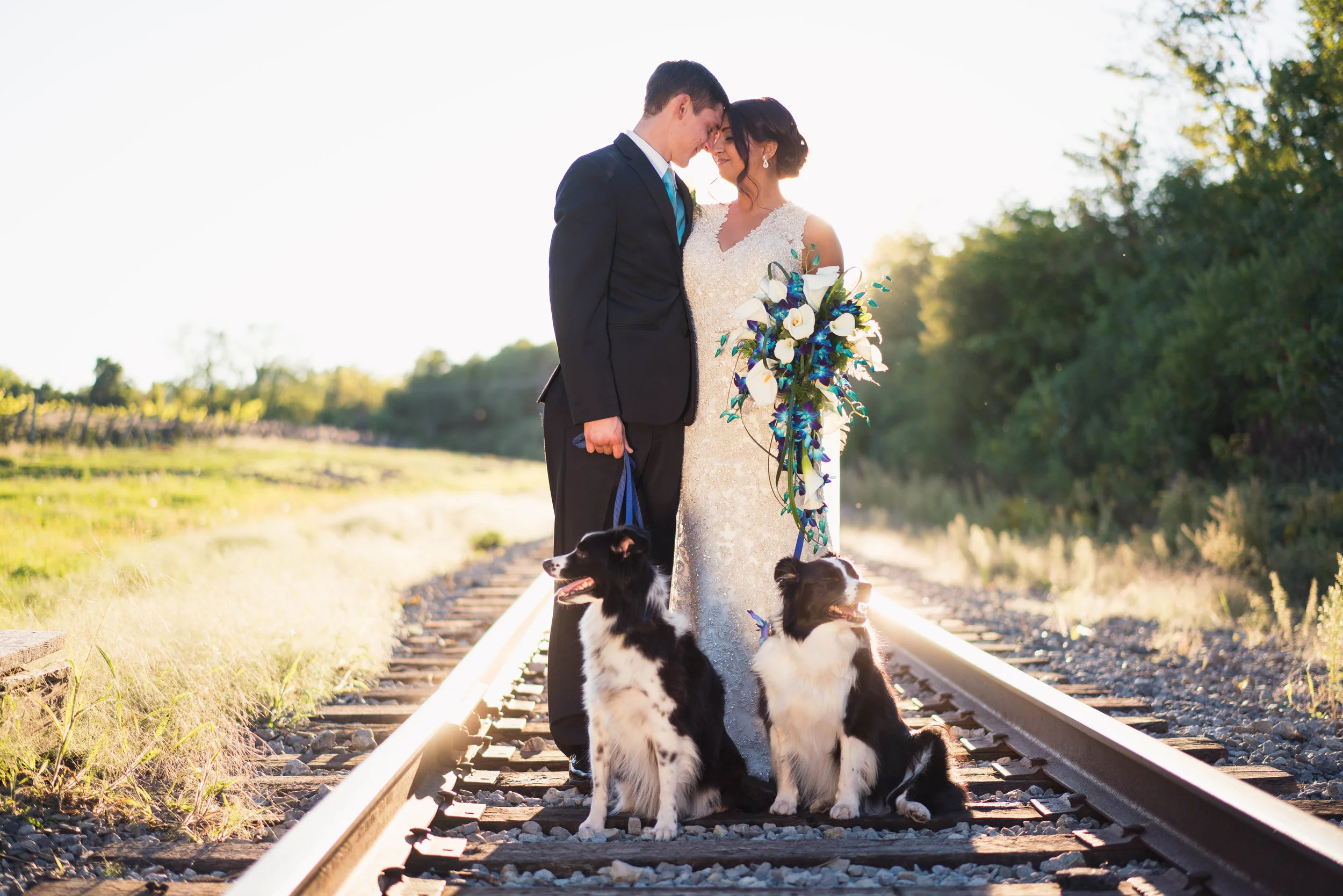 Blog Aisha and Matt at Springlake Vinery in Lockport NY by Stefan Ludwig Photography-52.jpg
