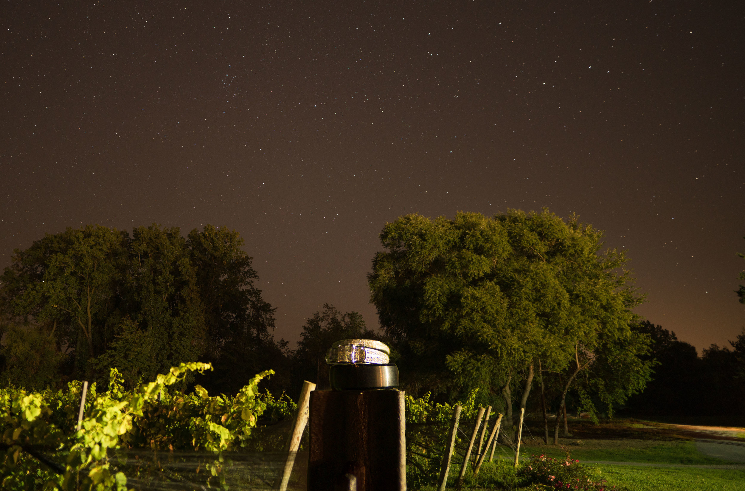 Blog Aisha and Matt at Springlake Vinery in Lockport NY by Stefan Ludwig Photography-73.jpg