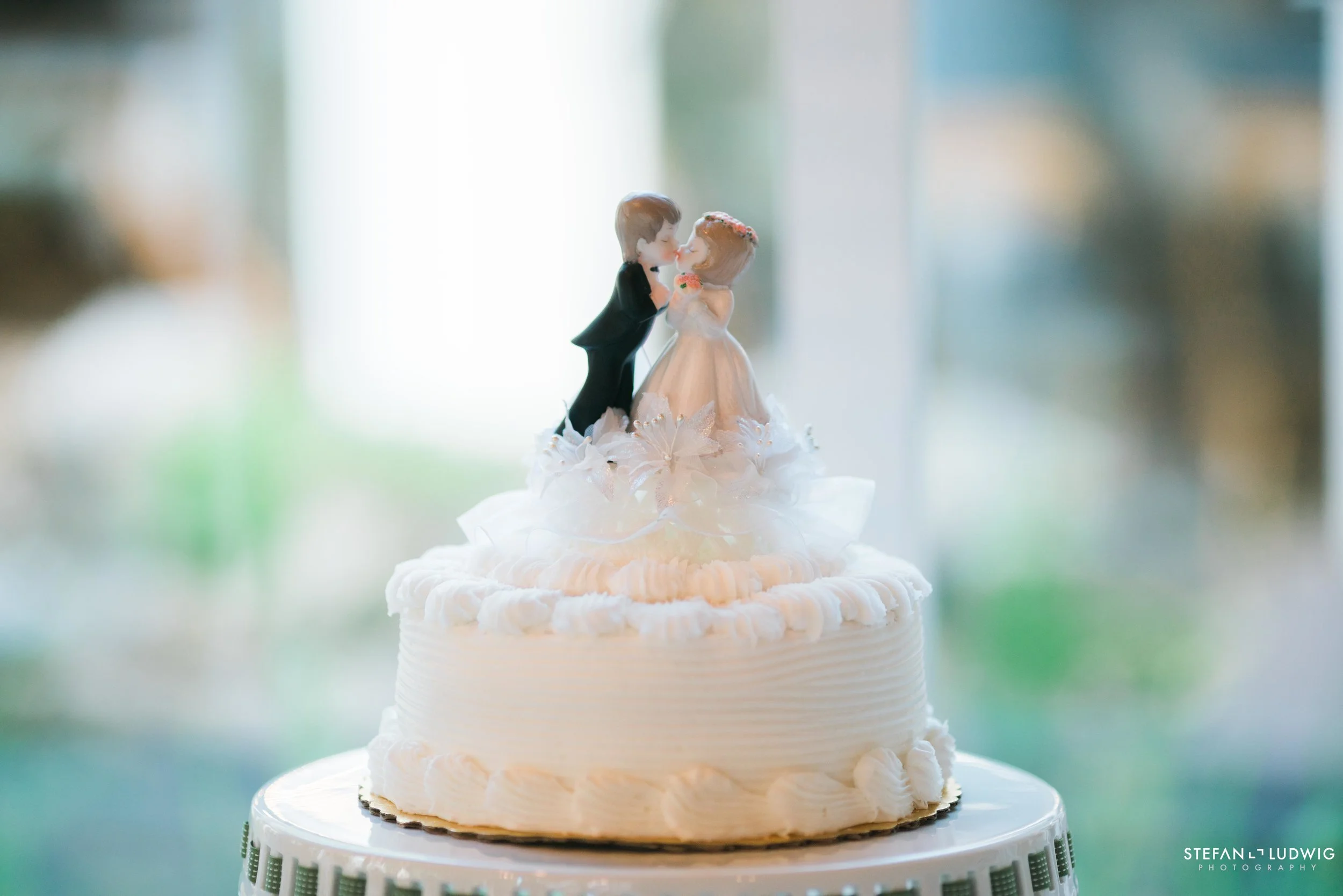 Amanda and Jordan Blog at Josephs Country Manor in Depew NY by Stefan Ludwig Photography-39.jpg