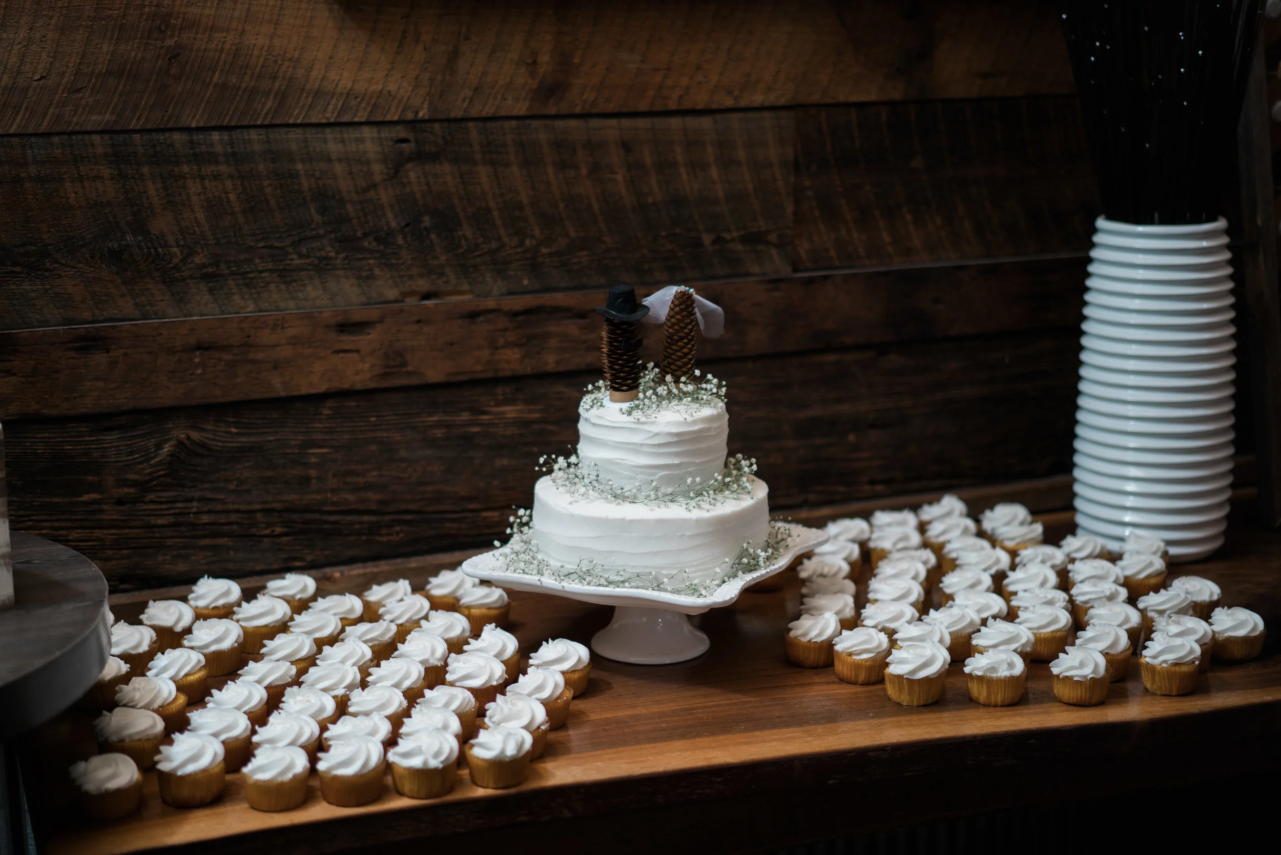 Allison and Matt Wedding Photography in Ellicottville ny by Stefan Ludwig Photography-211.jpg
