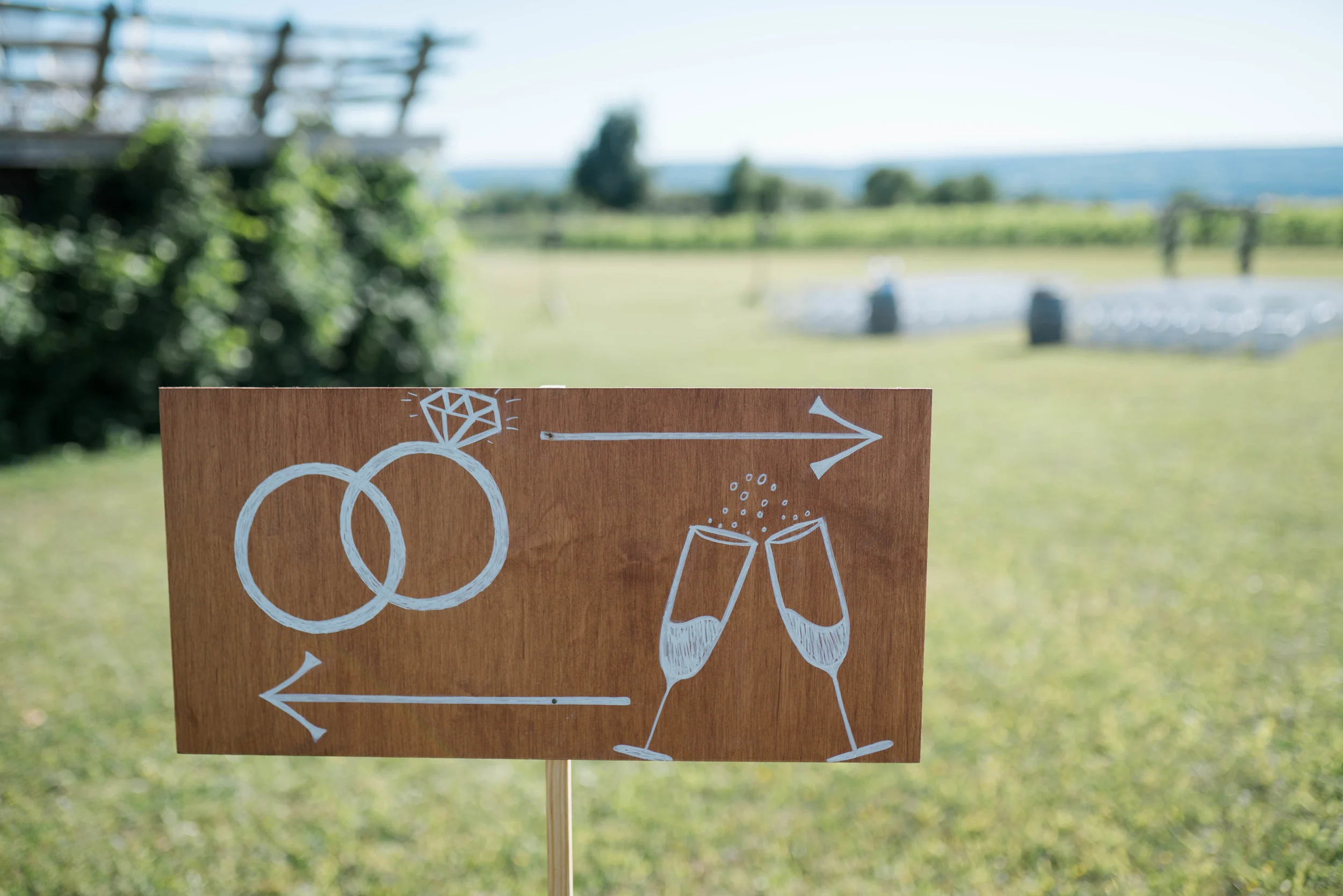 Wedding Photography at Wagner Vineyards Ginny Lee Cafe Finger Lakes by Stefan Ludwig Photography-66.jpg