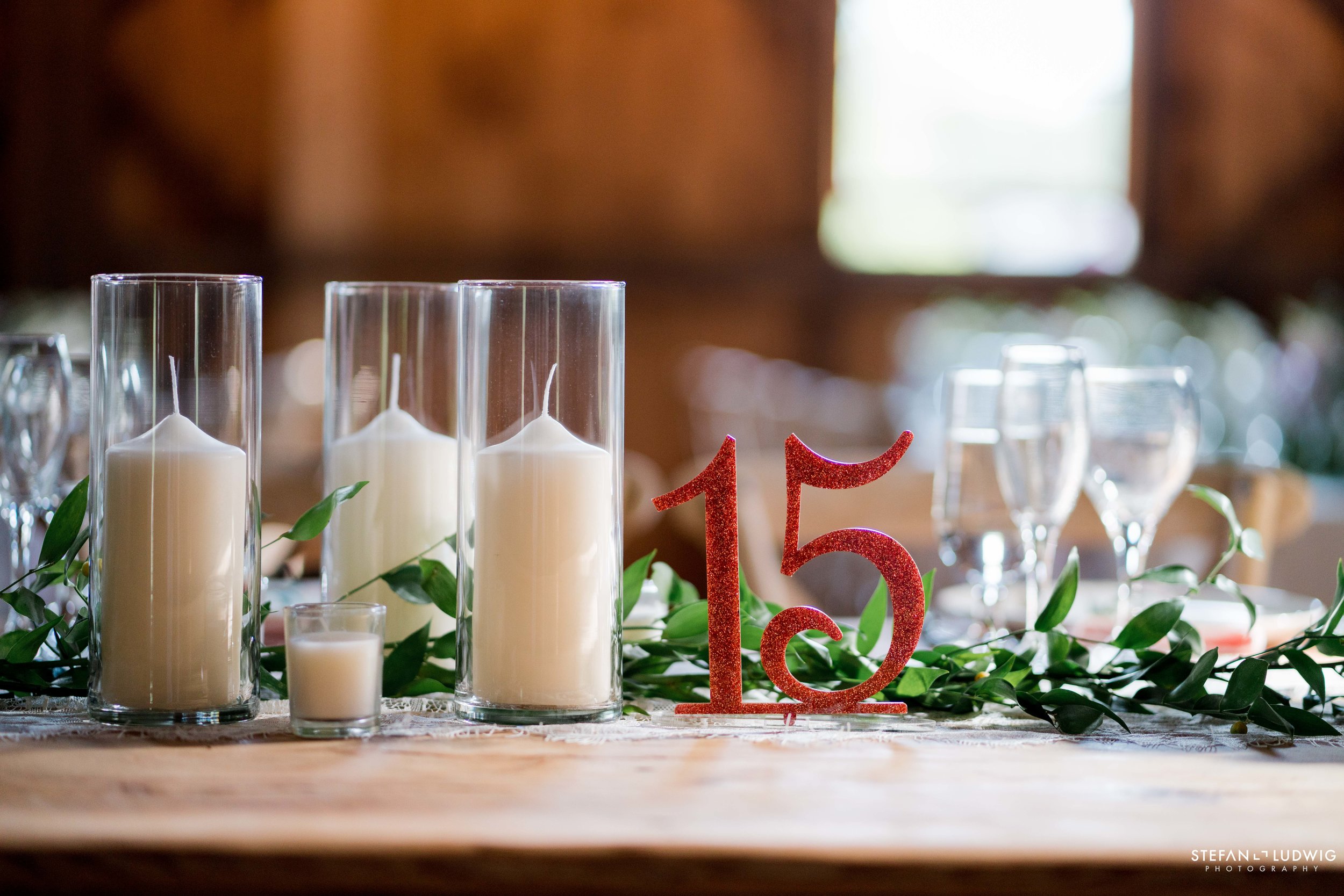 Heather and Andrew Wedding Photography ay Meadow Ridge Farm in Hudson NY by Stefan Ludwig Photography-62.jpg