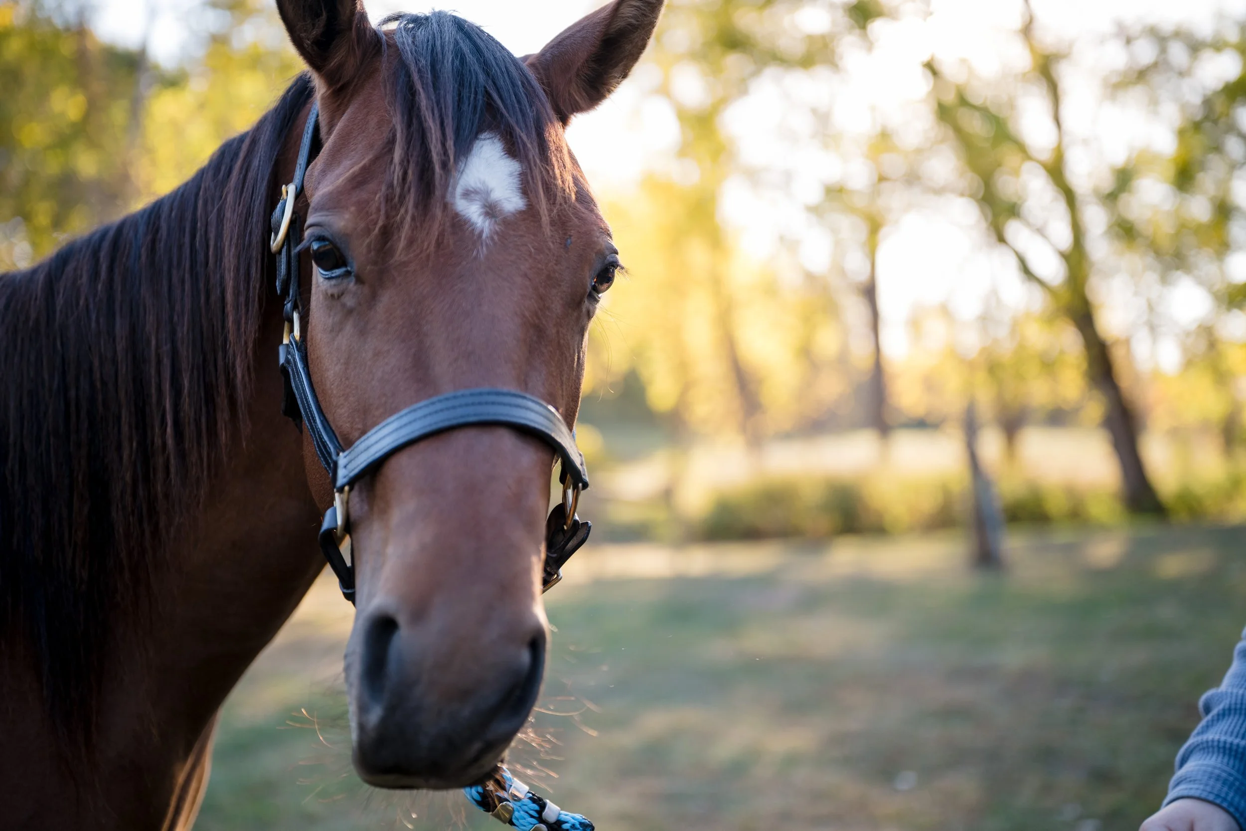 Engagement Kaylee and Ryan by Stefan Ludwig Photography-85.jpg