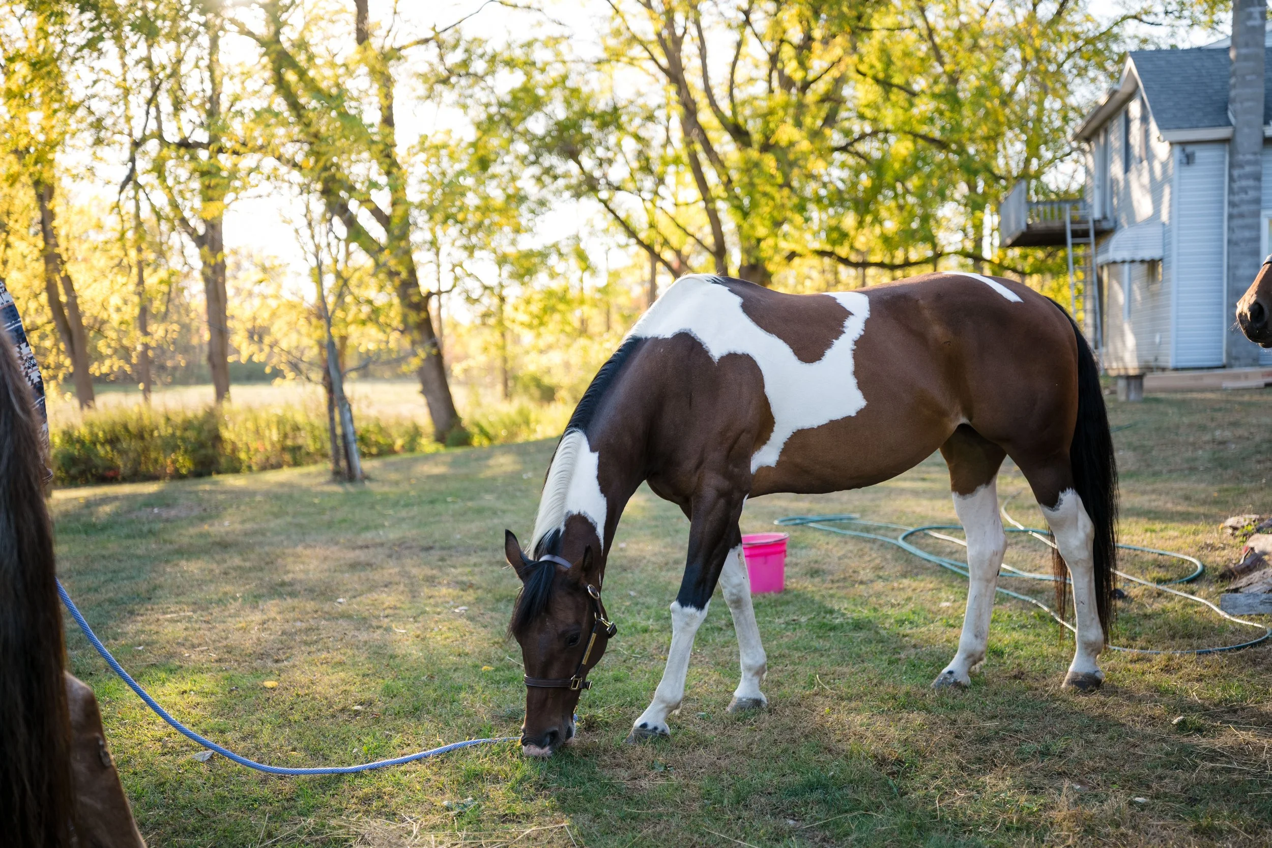 Engagement Kaylee and Ryan by Stefan Ludwig Photography-70.jpg