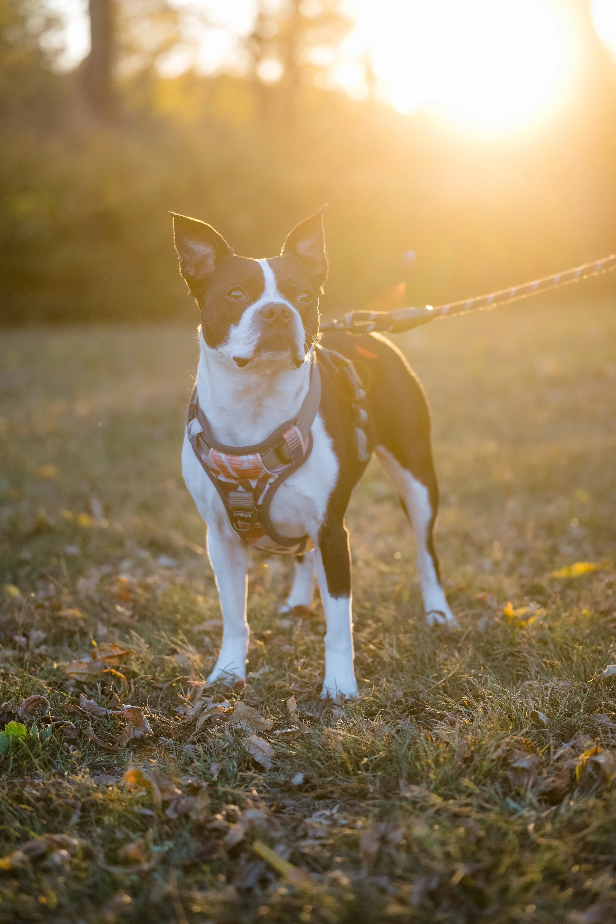 Engagement Kaylee and Ryan by Stefan Ludwig Photography-241.jpg