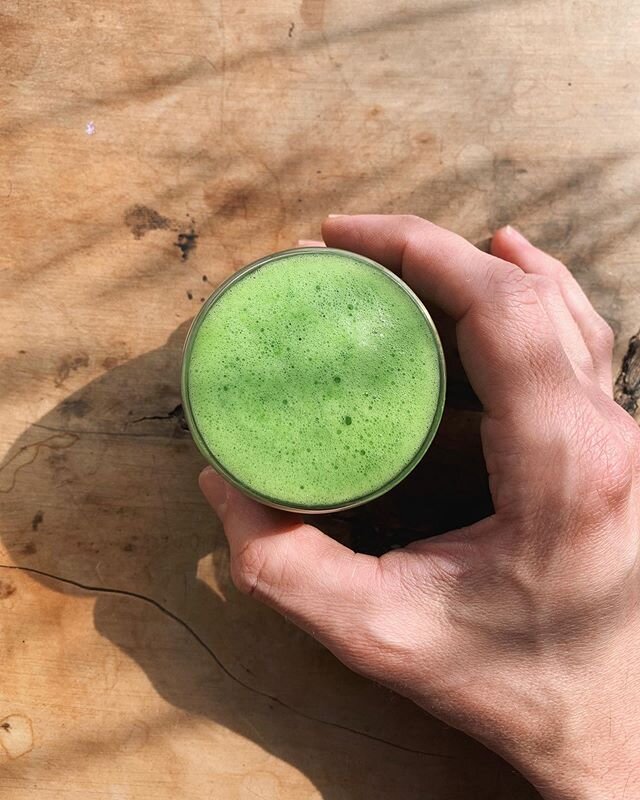 life gets ya down, matcha picks ya back up. or the breeze from the doors open today might. come visit, have a cup, &amp; let yr mind drift off on this sleepy start to the week 🌿🍵🌿