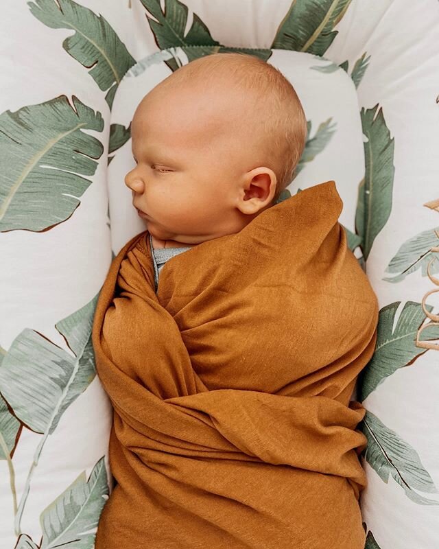 I&rsquo;ve never swaddled. Not even once with Senna! We are 100% co-sleepers at our house (So now we have Senna, Eves and our pug Zoey all in bed with us at night 😬🤩) but I decided I really wanted Eves to be a good napper during the day so I could 