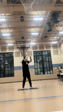 giphy.gif