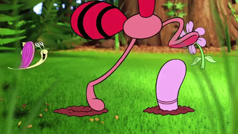 giphy.gif
