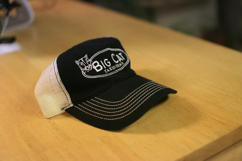 big_cat_hat.jpg