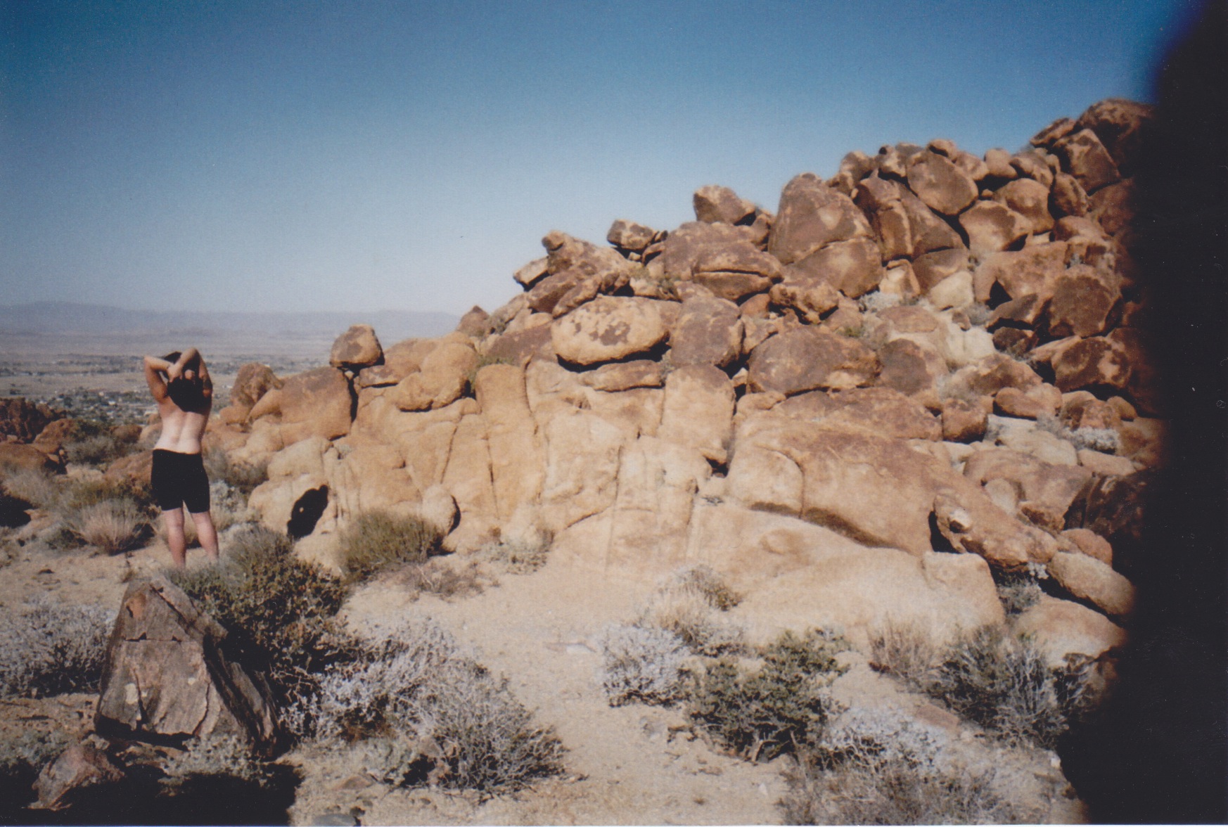 barebackmountain.jpeg