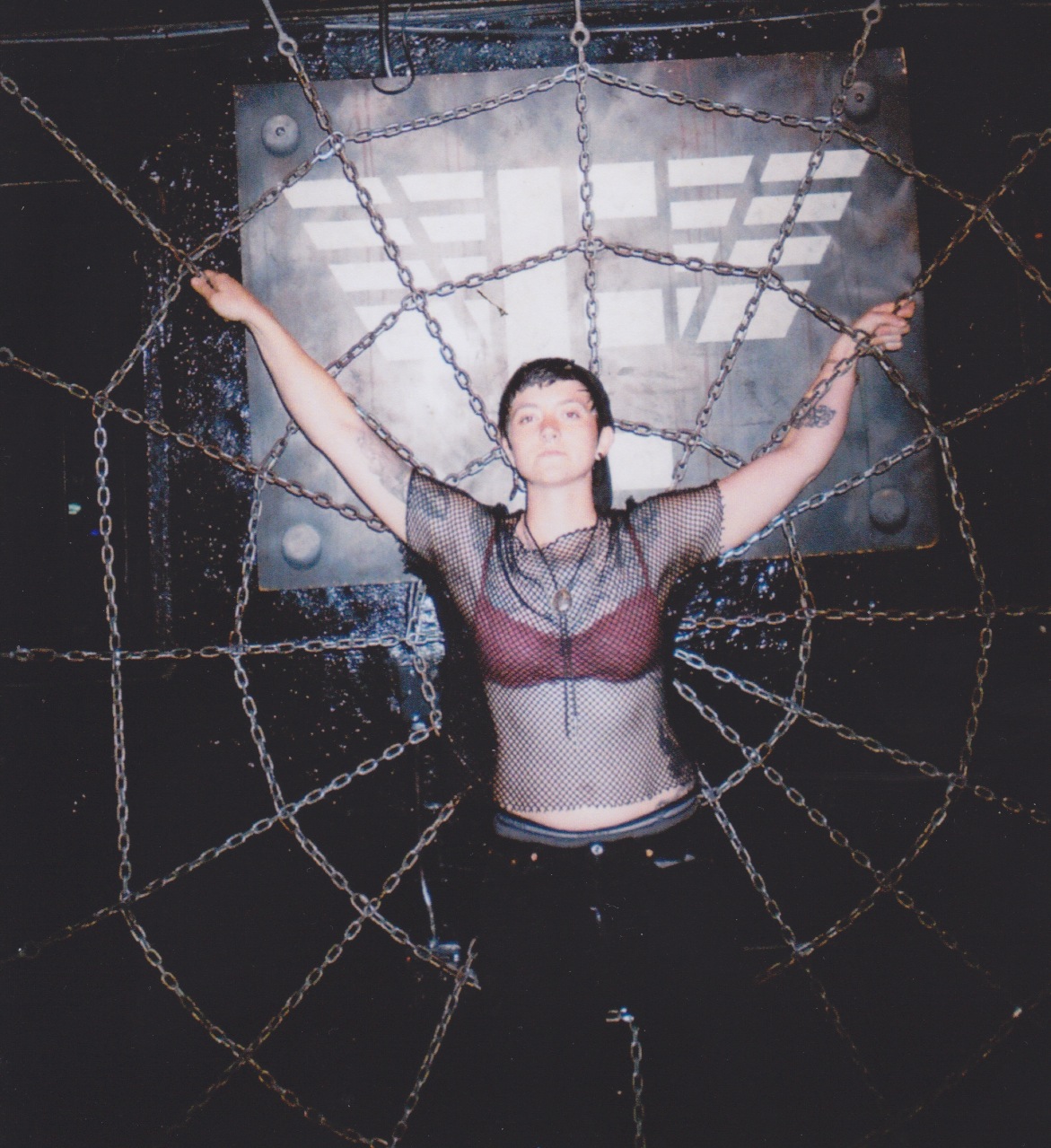 huckspiderweb.jpeg