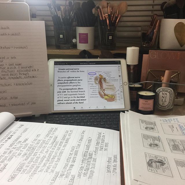 So ready for this NOT to be my weekend routine for awhile. However, I do enjoy sitting alone in my &ldquo;me&rdquo; space. #studygram #anatomy #headandneck #dentalhygieneschool #dental #studentproblems #collegelife #studying #tiredaf #needabreak