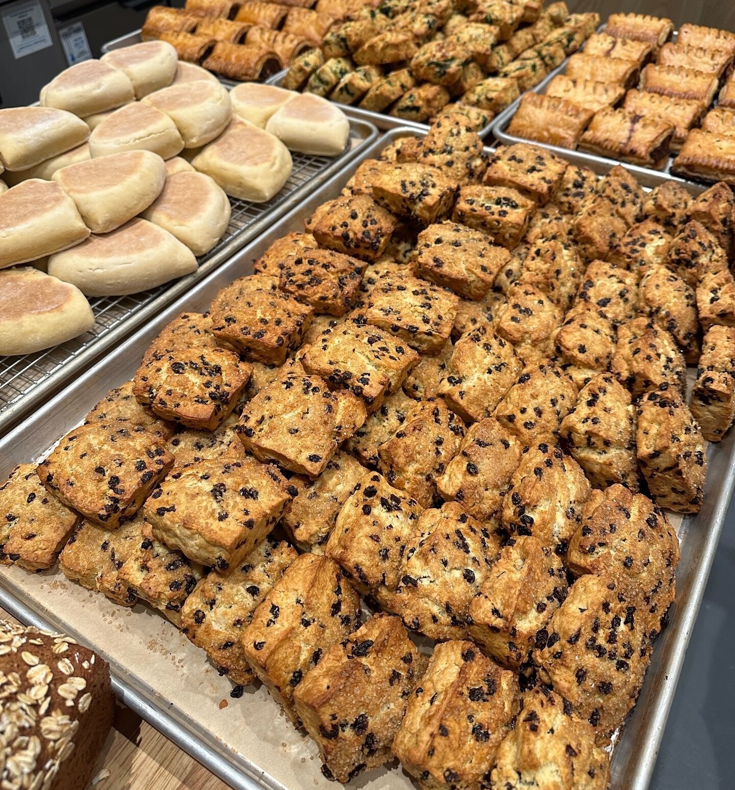 The bakery on Lawton Street is cranking out the soda bread this weekend and every day! 

See you all for green Snowy Plovers on St. Patrick&rsquo;s Day!