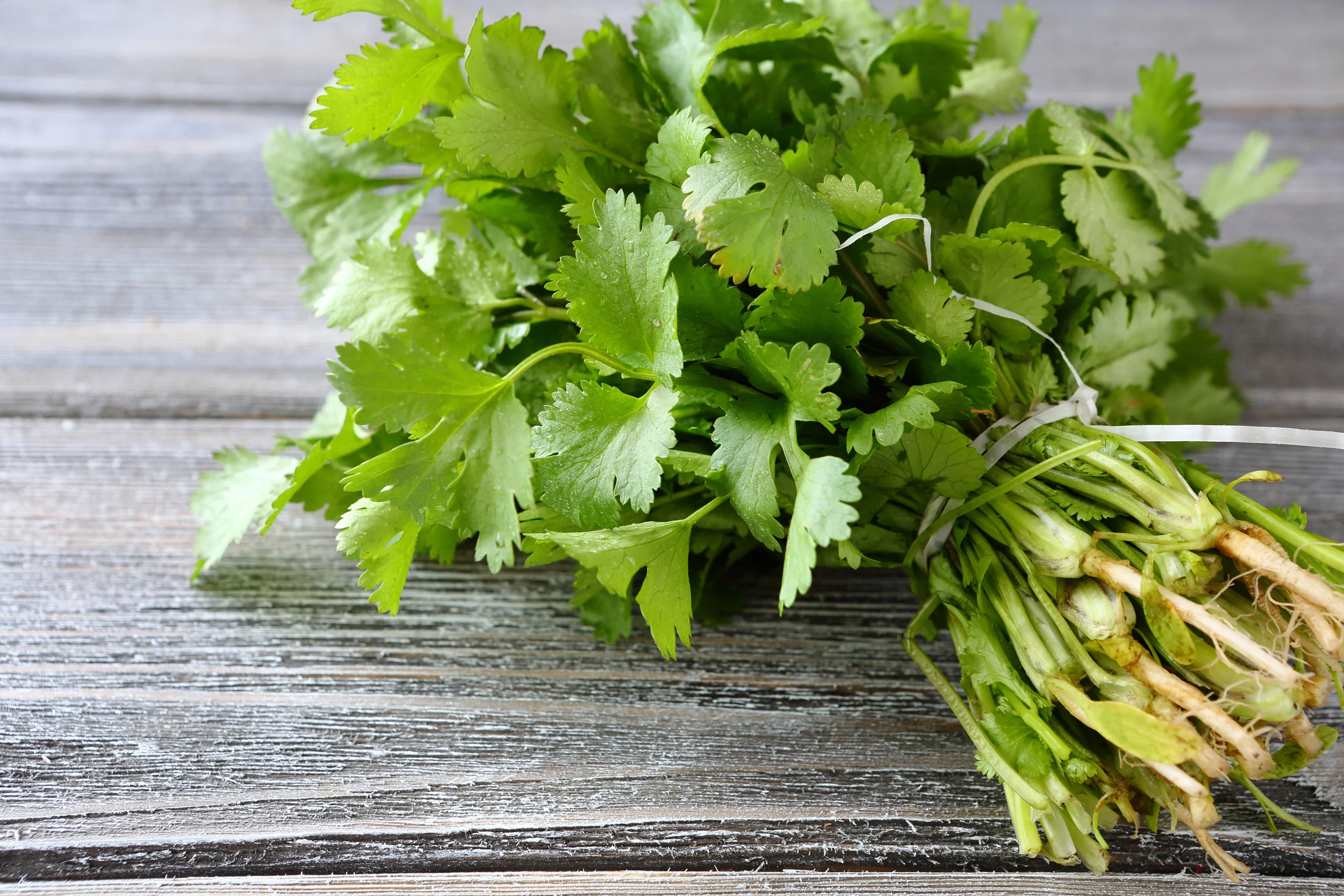 The One Food You Need to Detoxify