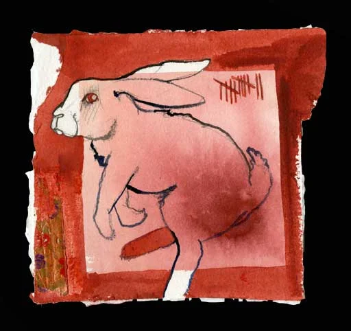 if-only-I-was-born-under-the-sign-of-the-hare.jpg