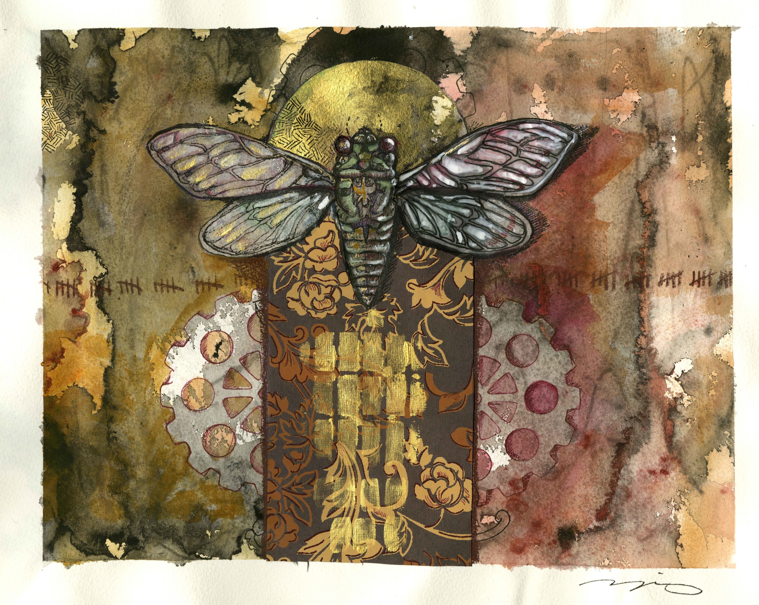 Cicada for Taylor