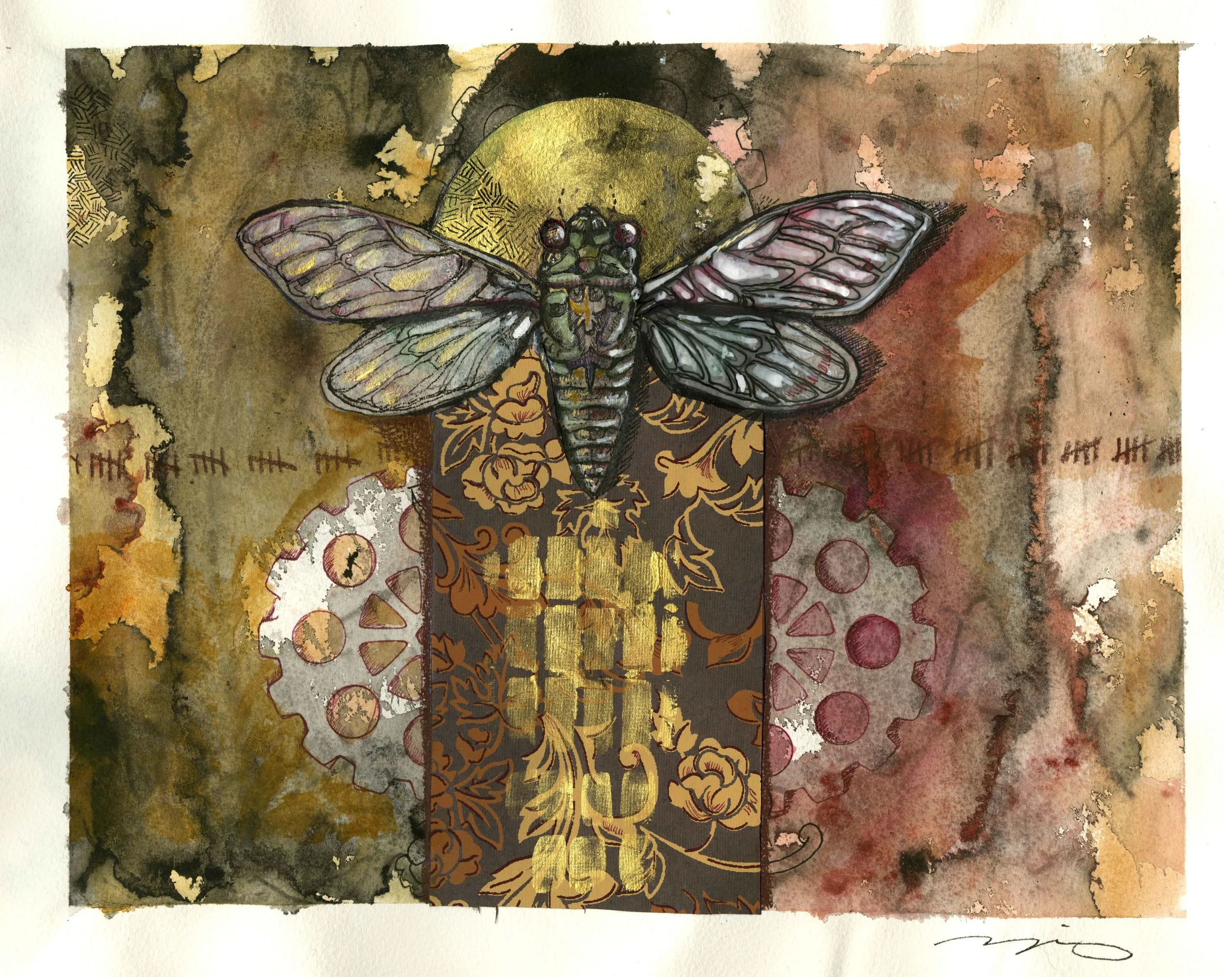 Cicada for Taylor