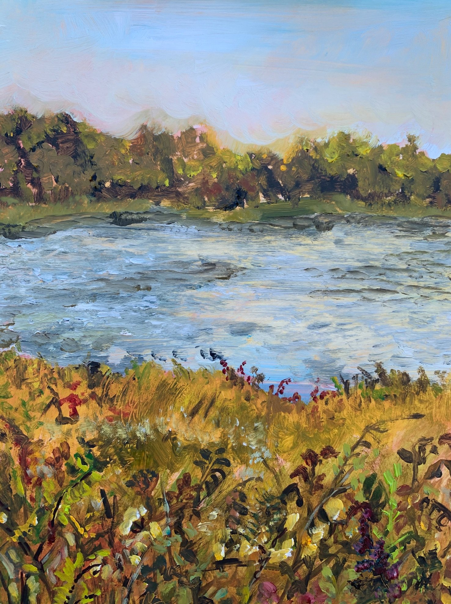 Coralville Res..jpg