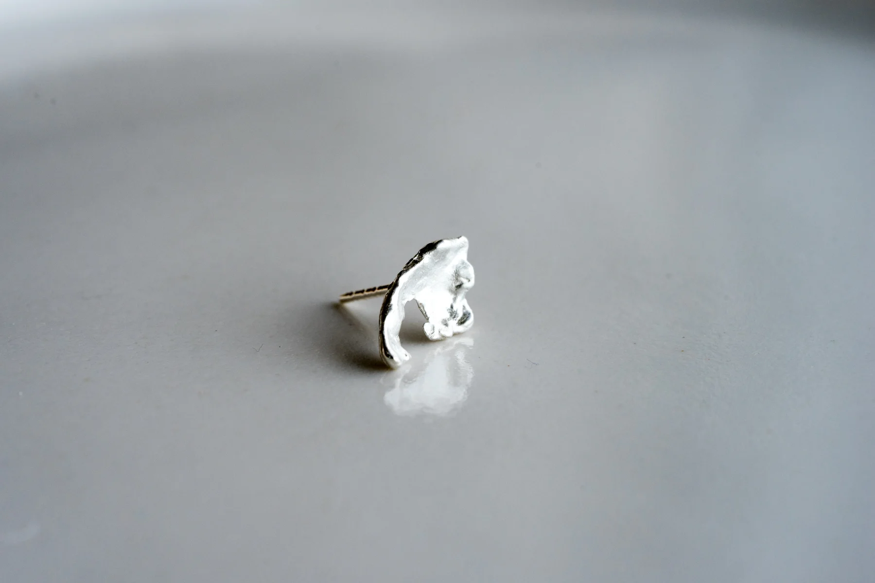 blume2016-30.jpg