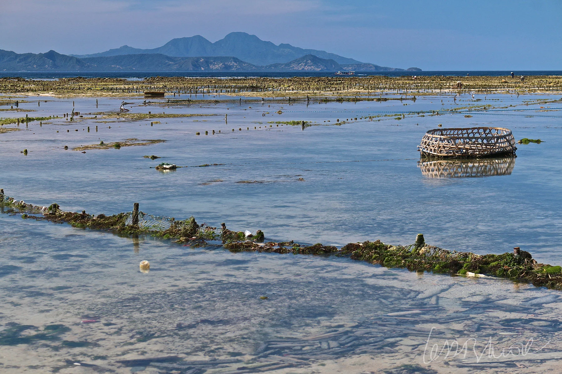 Espectacular panorámica de una granja de cultivo de algas haciéndose visible al bajar la marea con vistas al imponente Gunung Agung en Bali. Fotografía hecha en Nusa Lembongan, Indonesia. Cl ick + info >