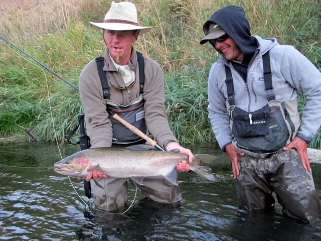 31 inch wild Deschutes Steelhead.jpg