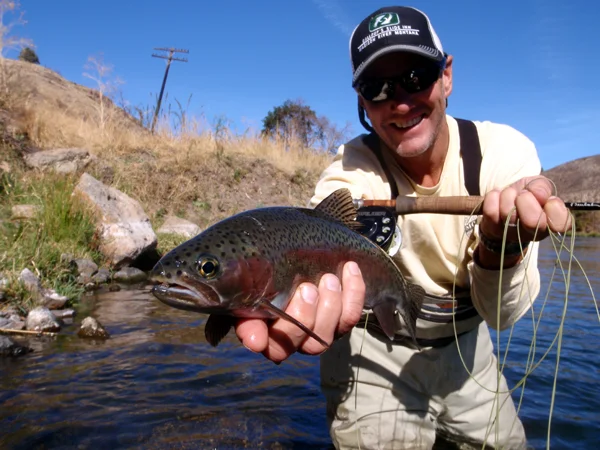 BWO hatch.jpg