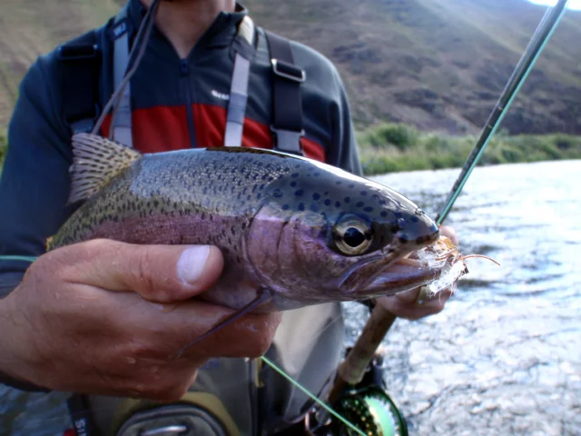 Deschutes River fly fishing report.jpg