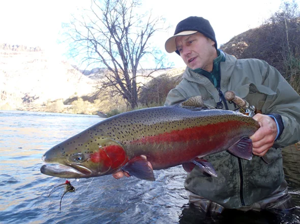 Bruce Corson Deschutes steelhead.jpg
