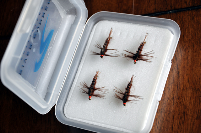 Deschutes Golden Stonefly Nymphs — Fly Fishing Guides, Deschutes River