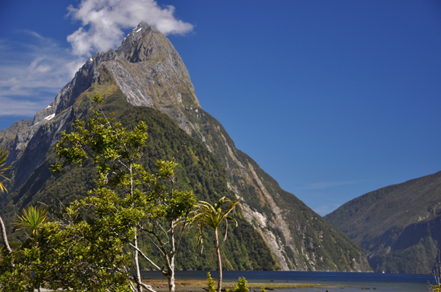 metre peak - milford sound.jpg