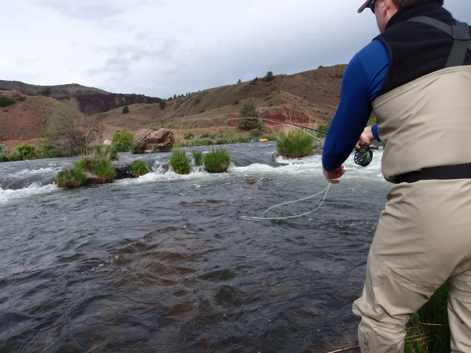 Caddis and Fall BWO's — Fly Fishing Guides Deschutes River River