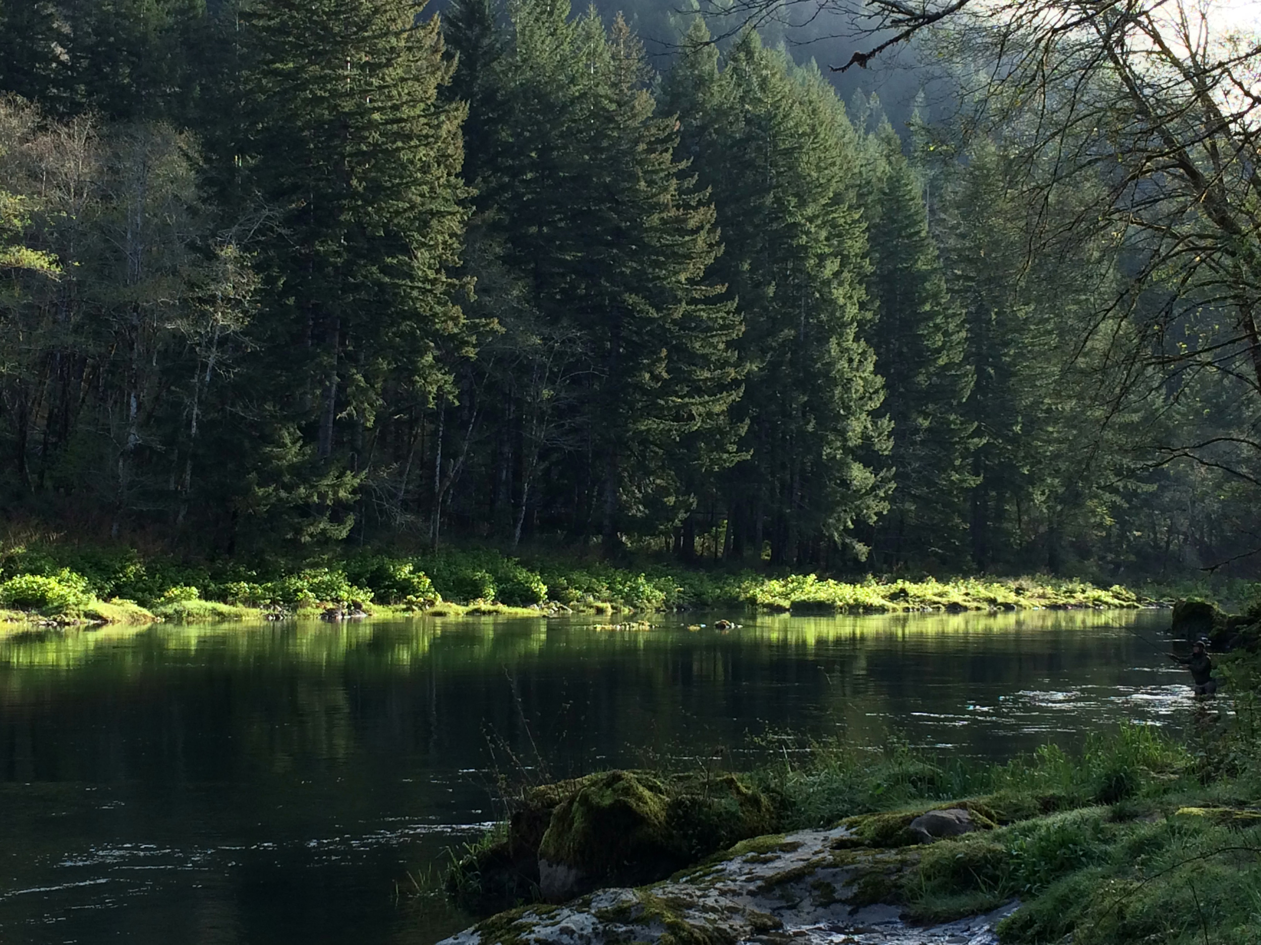 Spring morning light.