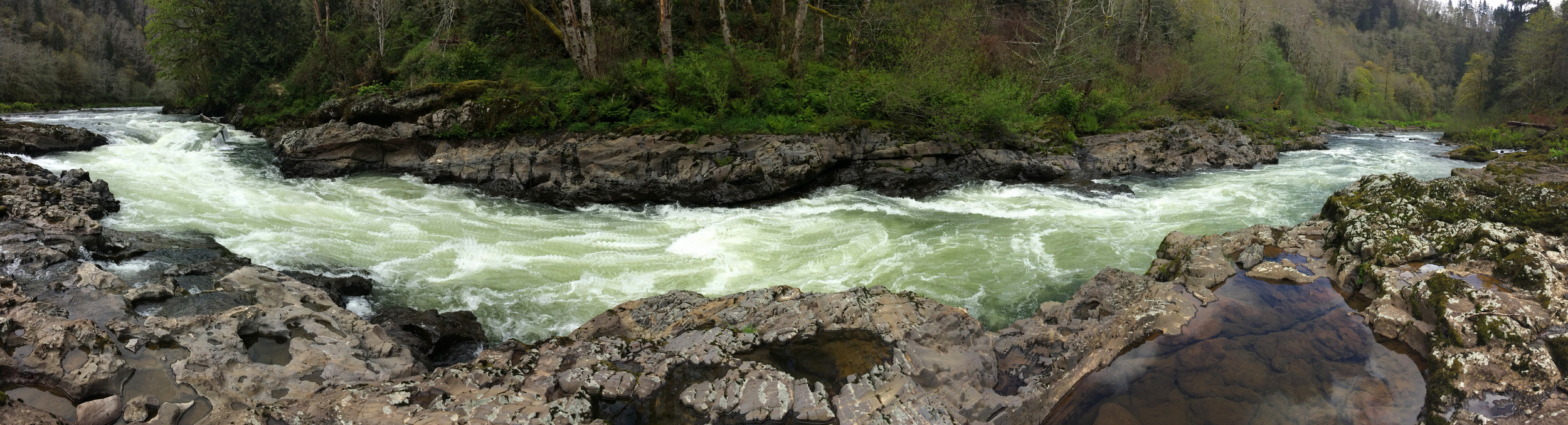 Whitewater on the Oregon coast.