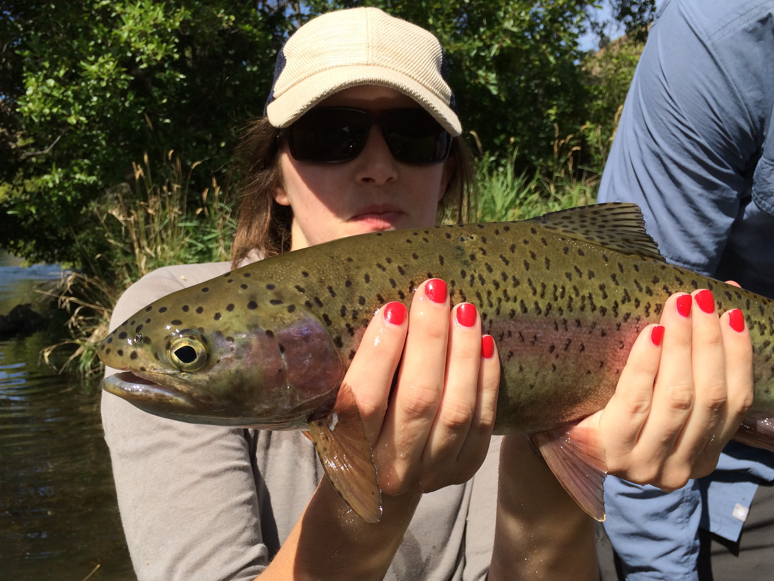  Heather' first fly caught fish! &nbsp;She has hooked a few trout on some other rivers so it is ironic that her first landed trout was a badass Deschutes redside! 