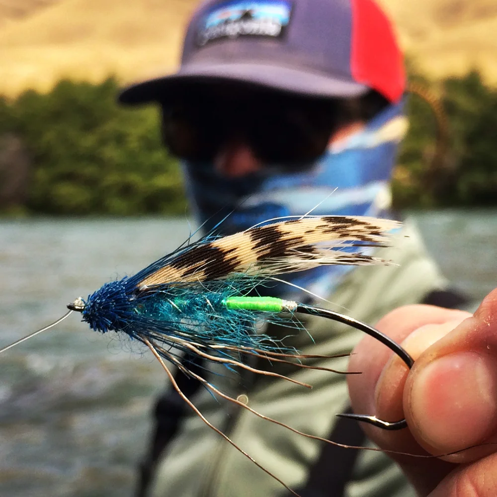 Jeff Alighieri has good taste... a beautiful muddler variation tied by Nick Rowell. A lot of the hair has been chewed off but they just keep getting fishier.
