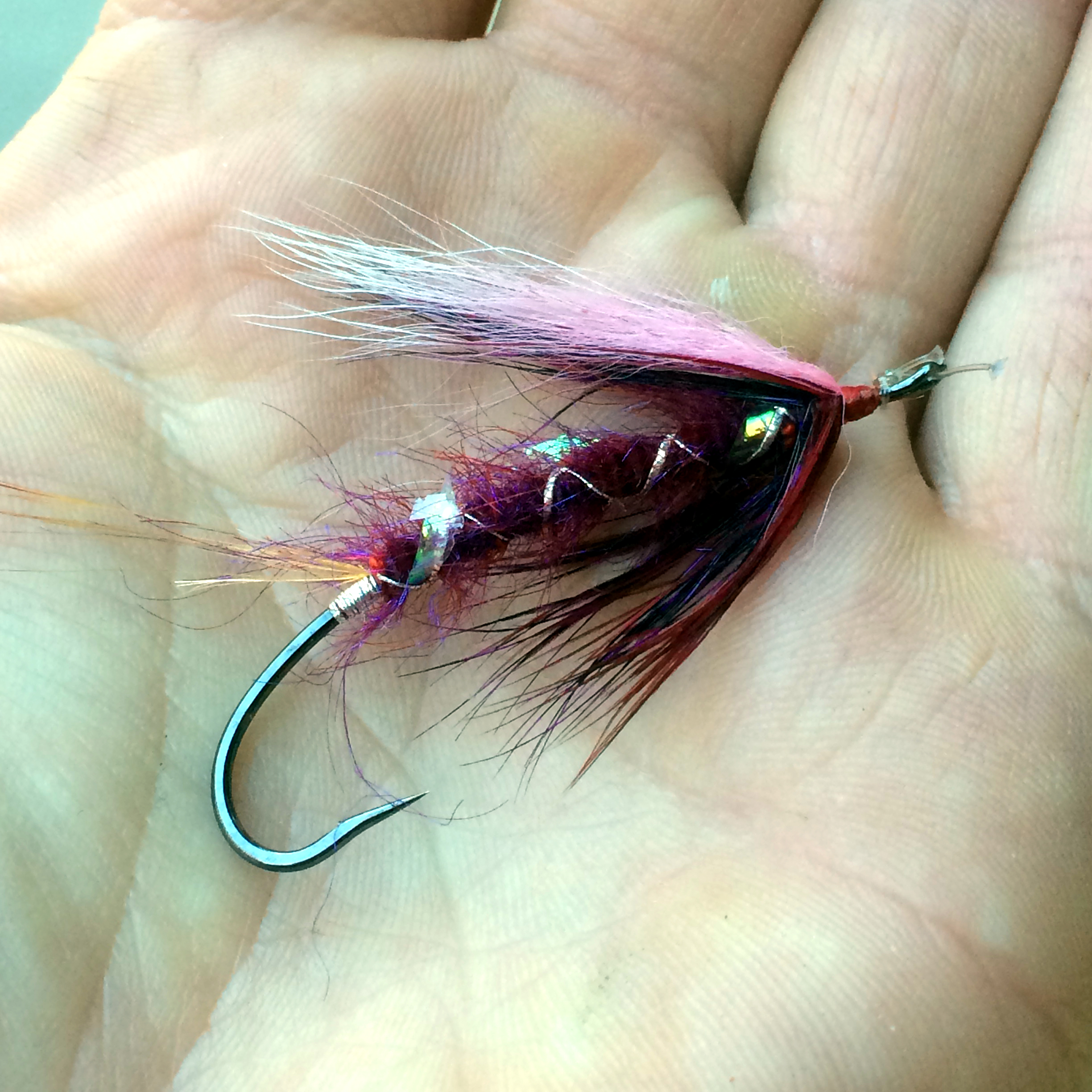  This fly... this f'ing fly! &nbsp;Looks pretty good considering where it has been. &nbsp;A winner tied by Nick Rowell and fished by yours truly. &nbsp;I am in love with Gamakatsu's McNeese spey hooks. &nbsp;Fish bite and won't let go! 