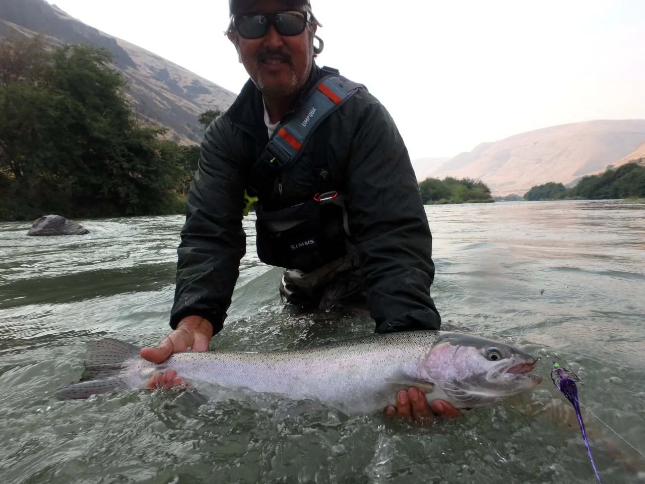 2016 Summer Steelhead Preview