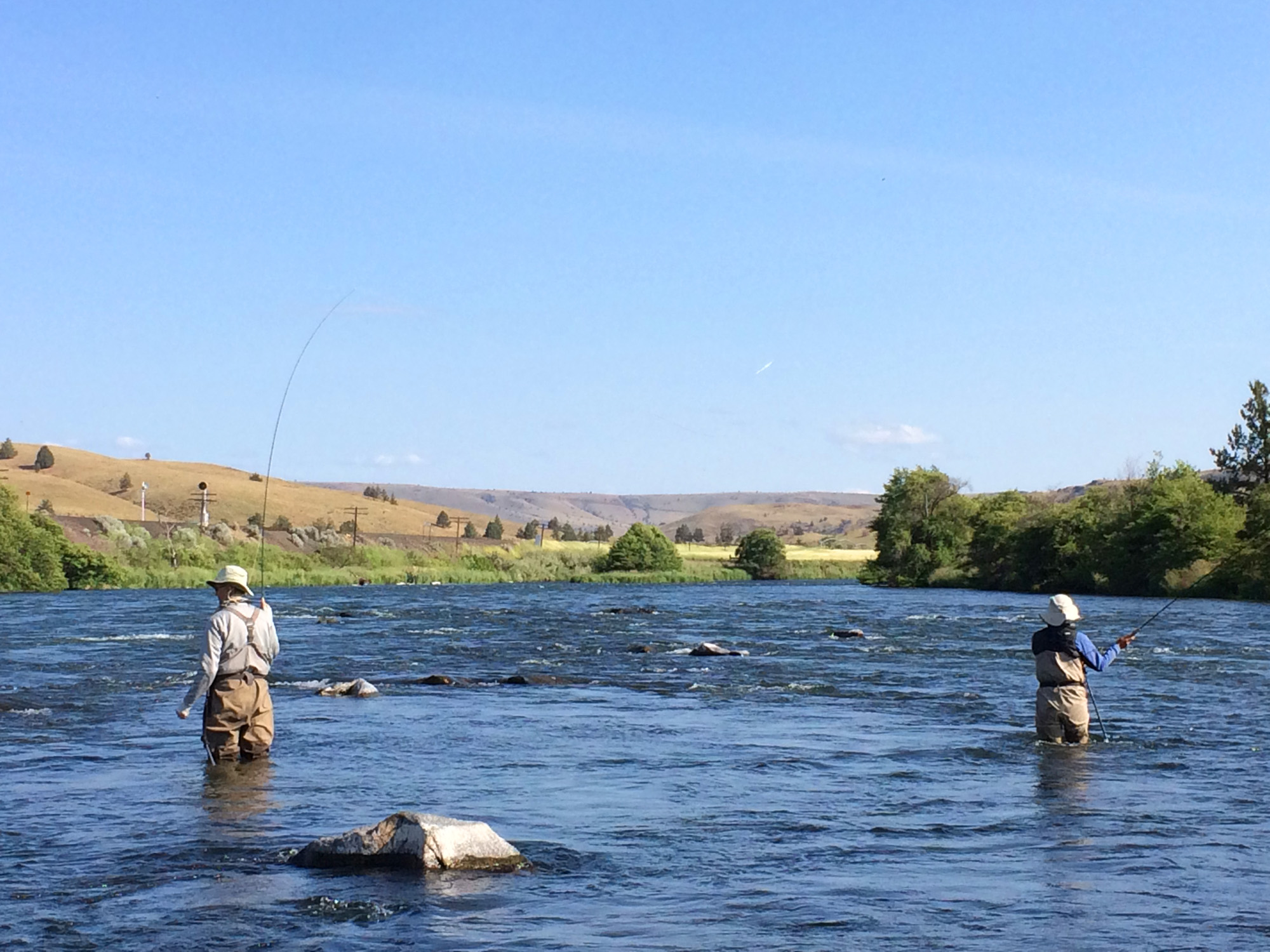  Working some mid river pocket water on the Deschutes River near Whiskey Dick. 