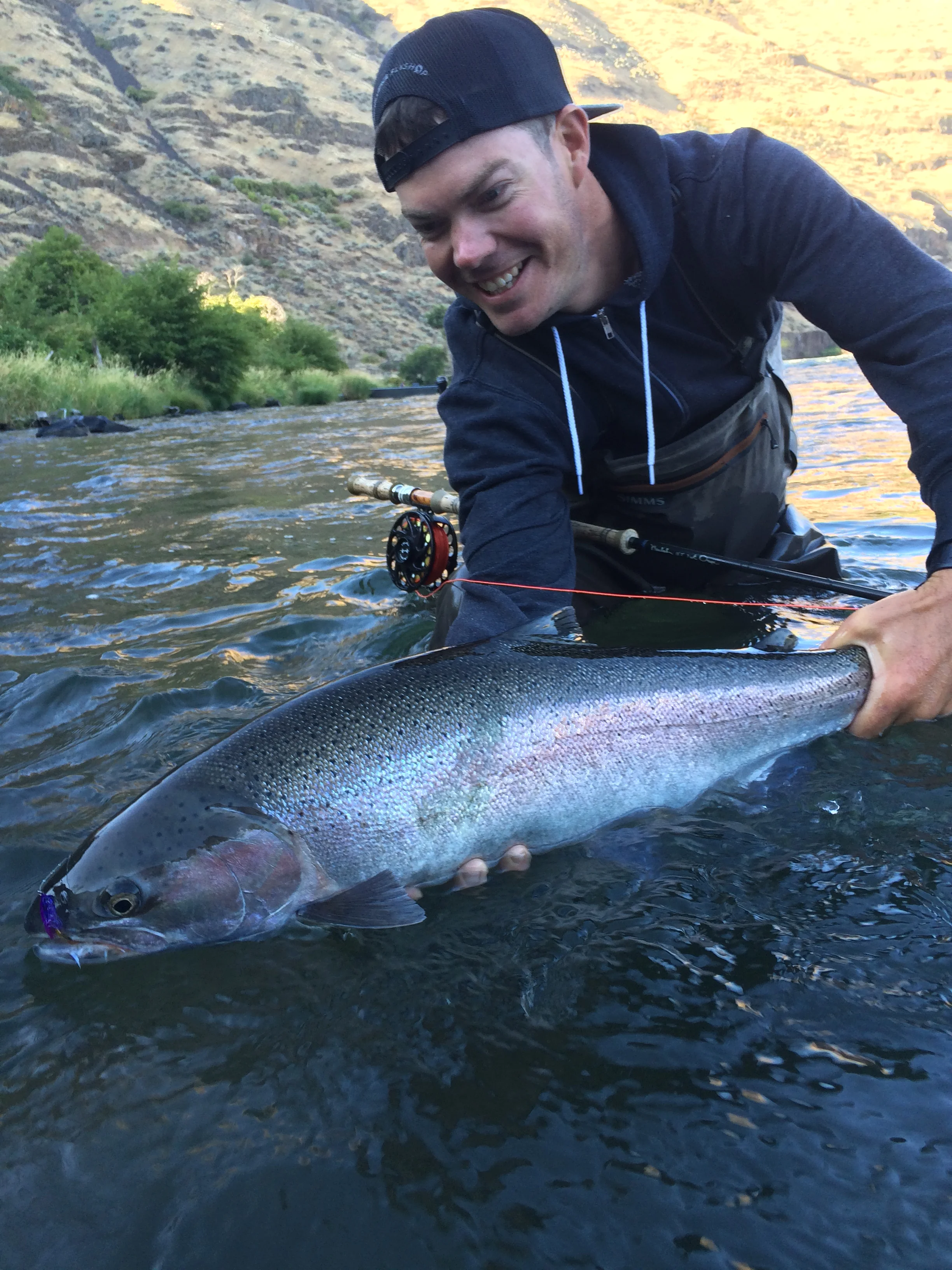 A hell of a steelhead, enough said.