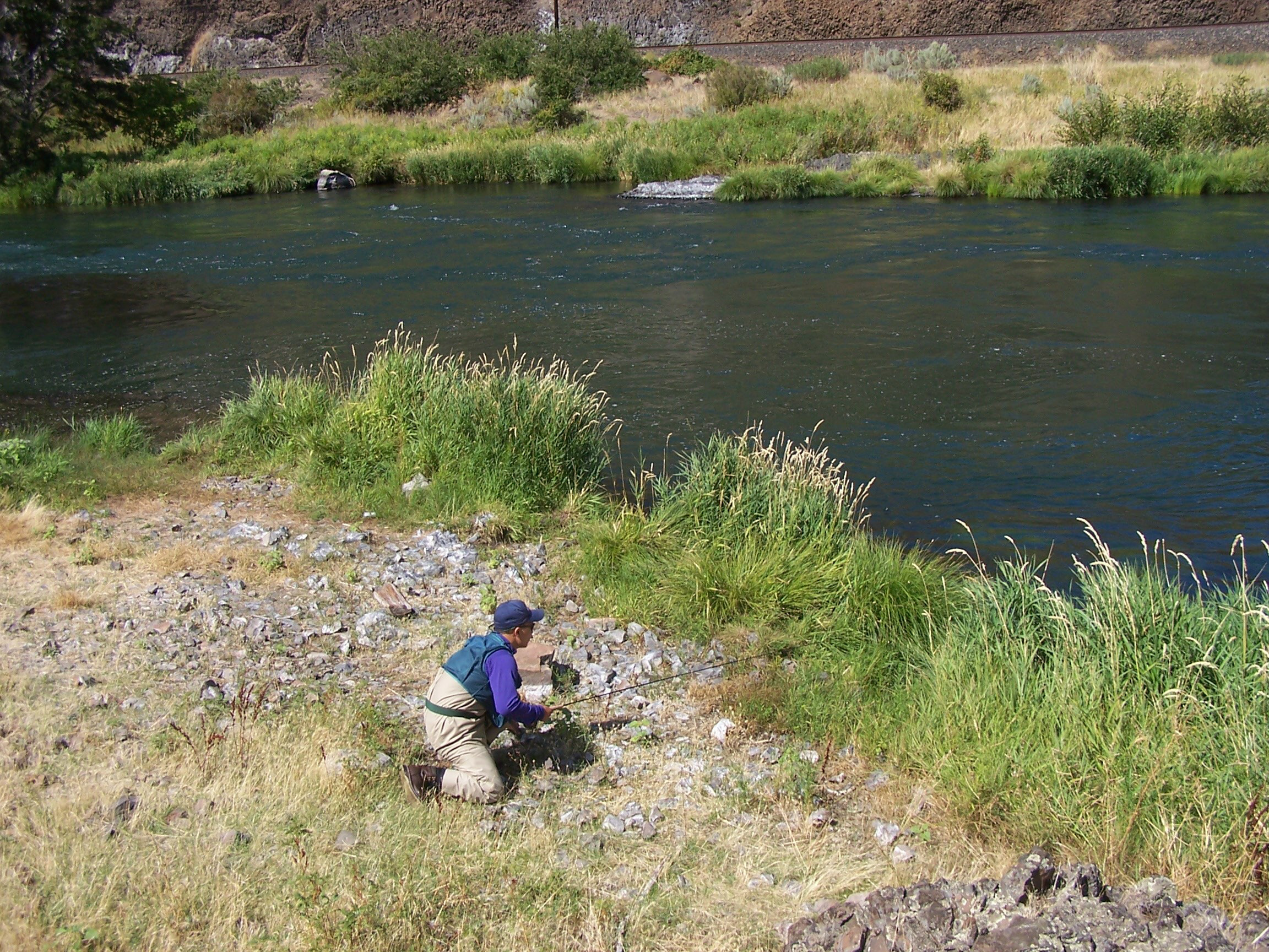 Stalking a rising Deschutes trout near Maupin, Oregon.jpg
