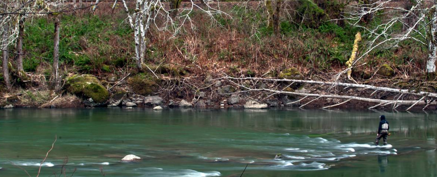 Swinging flies for winter steelhead.jpg