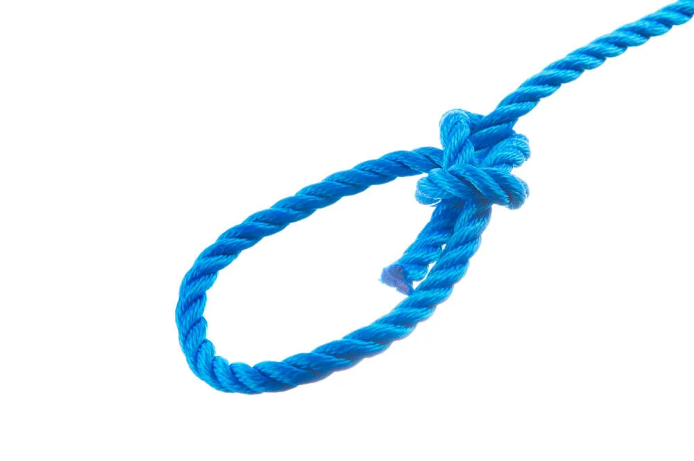 Bowline knot
