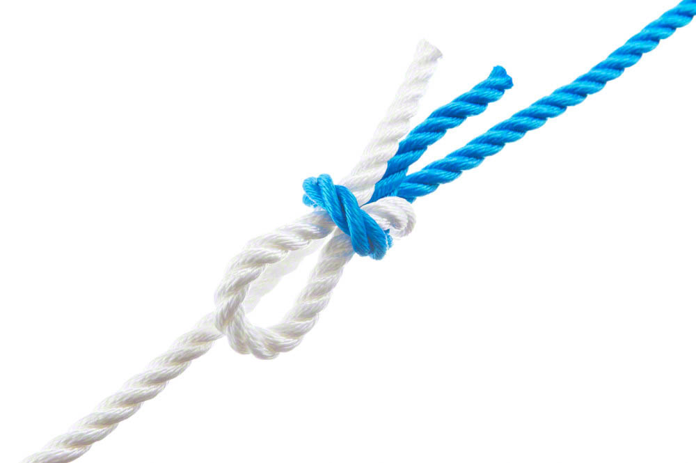 True reef knot