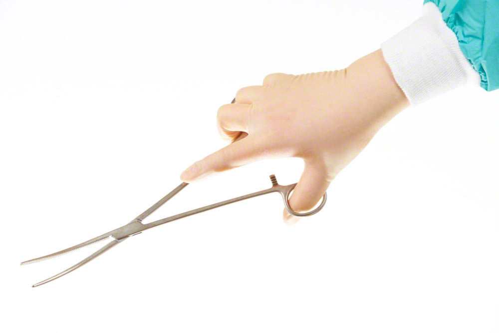 Surgical instrument  (curved pean, haemostatic forceps) held by surgeons hand