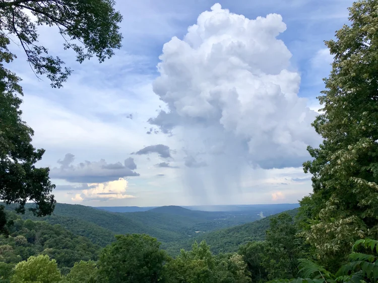 Monte Sano District — Downtown Huntsville