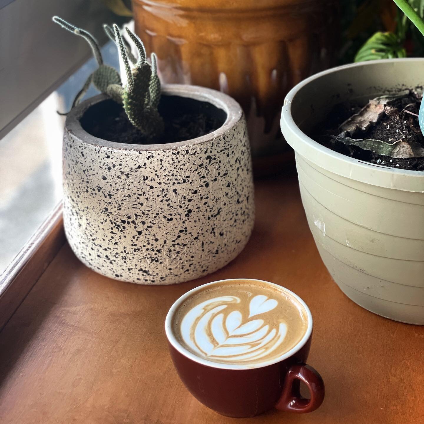 Almost to the weekend!! Hang in there! 
.
.
📍Goldsprinthsv
.
.
#CraftCoffeeTrail #CraftCoffee #DrinkCoffee #DrinkLocal #BrewLocal #SupportLocal #DowntownHsv #DowntownHuntsville #exploredowntown #ihearthsv #visithuntsvilleal #coffeeaddict