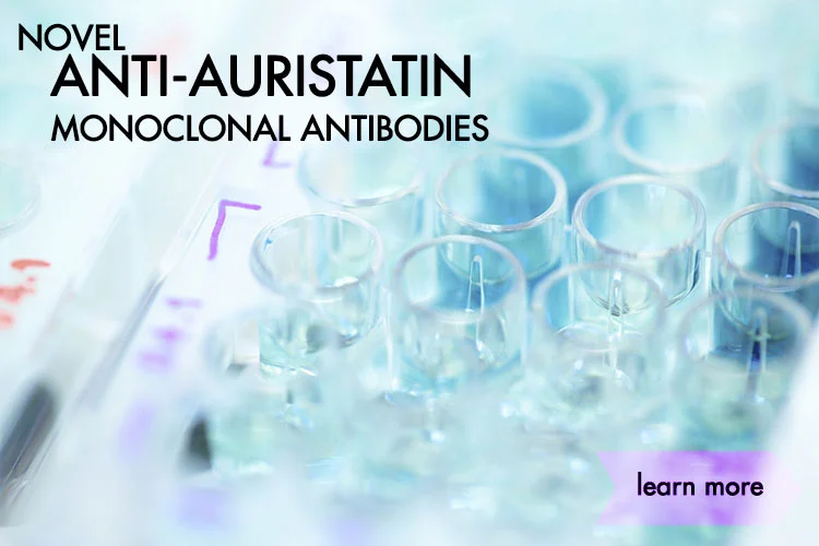 anti-auristatin-mabs.jpg
